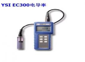 永州YSI EC300型盐度、电导和温度测量仪