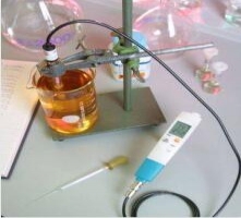 长乐testo 206-pH3 - 单手pH/°C 测量仪