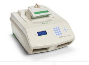 美国伯乐S1000 PCR 仪