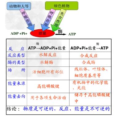ATP荧光仪
